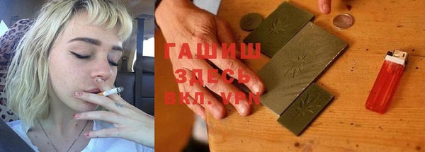 прущие грибы Алзамай