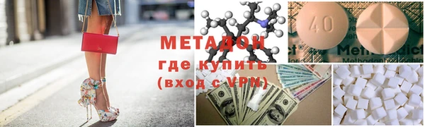 прущие грибы Алзамай