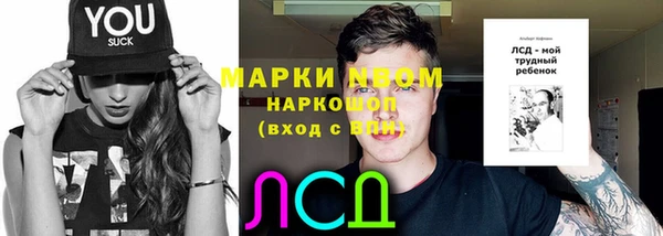 прущие грибы Алзамай