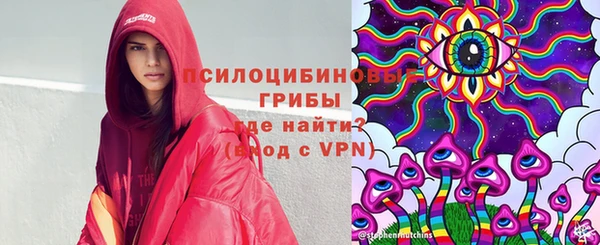 амф Абинск