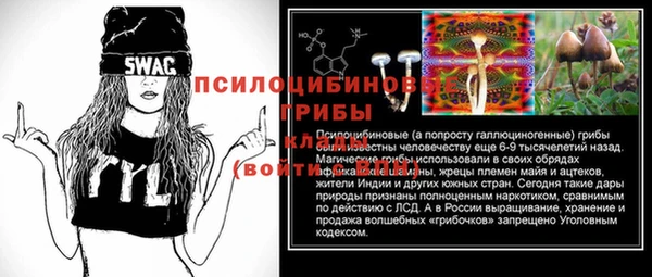 твердый Абаза