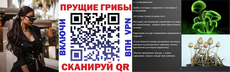 KRAKEN ТОР  Плавск  Псилоцибиновые грибы MAGIC MUSHROOMS 